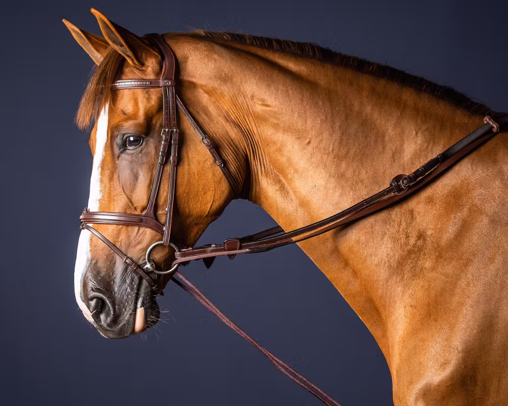 Leather/Nylon Draw Reins 5/8