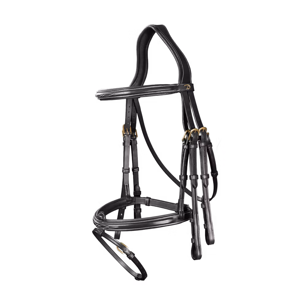 Flash Noseband Double Bridle