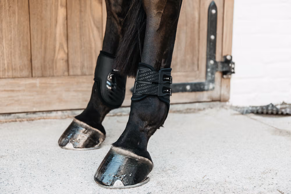 Fetlock Boots Elastic M black