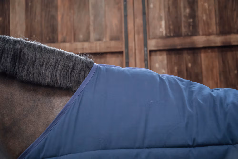 Under rug Classic navy 145-6'6 200 gram