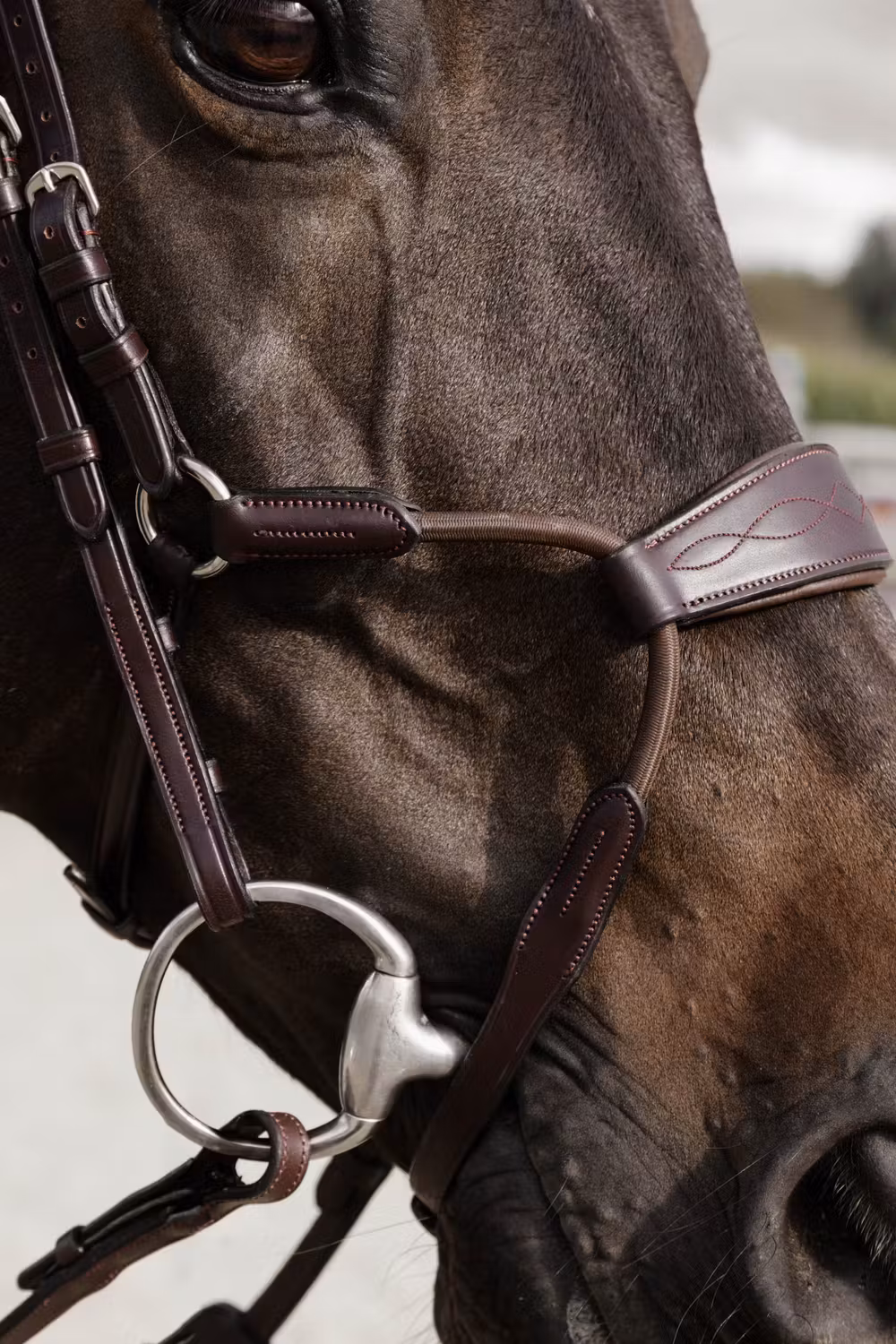 Elastic hybrid noseband NE coll, Full/brown