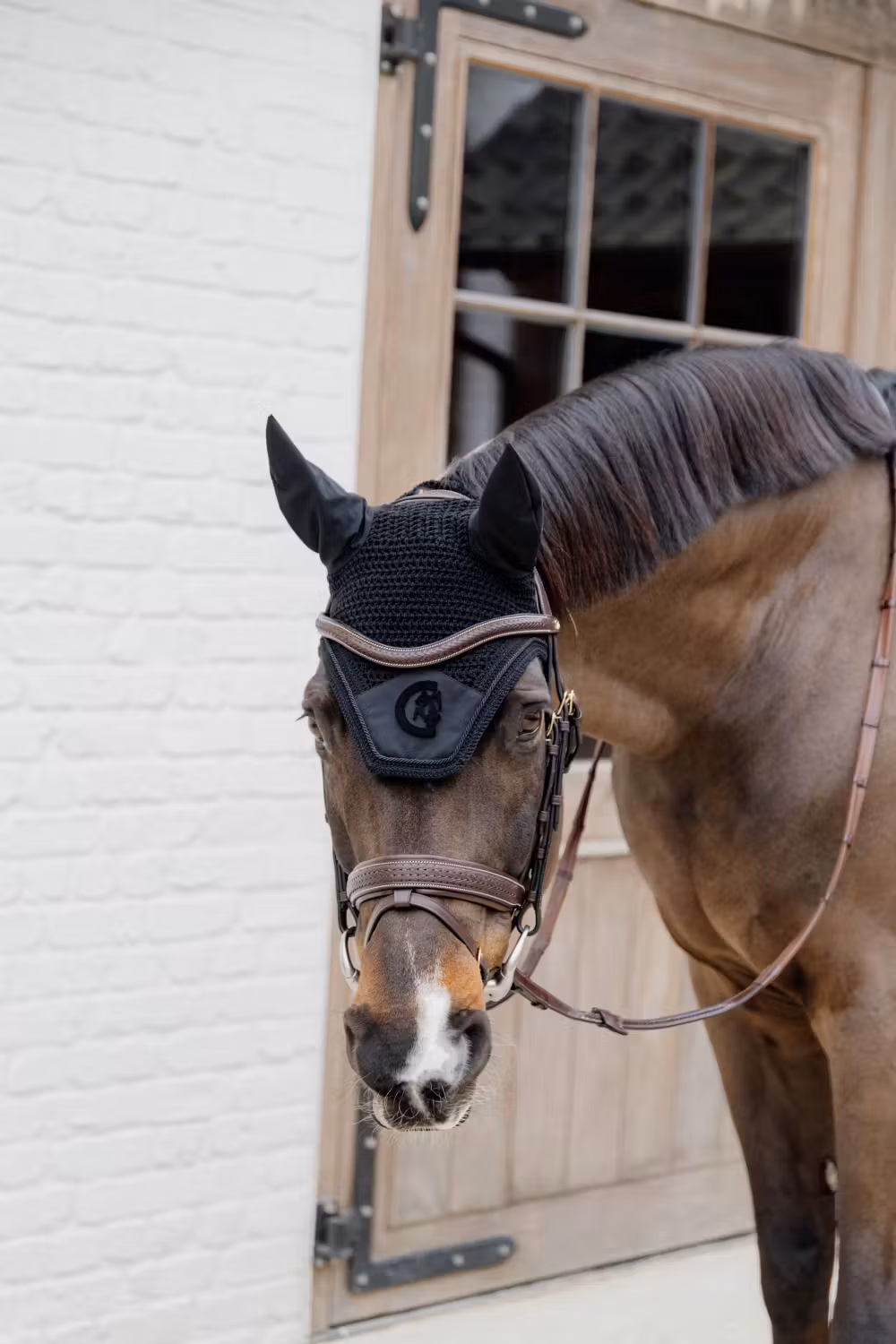 Plaited Flash Noseband Bridle with Pull back Brown Full D Collection