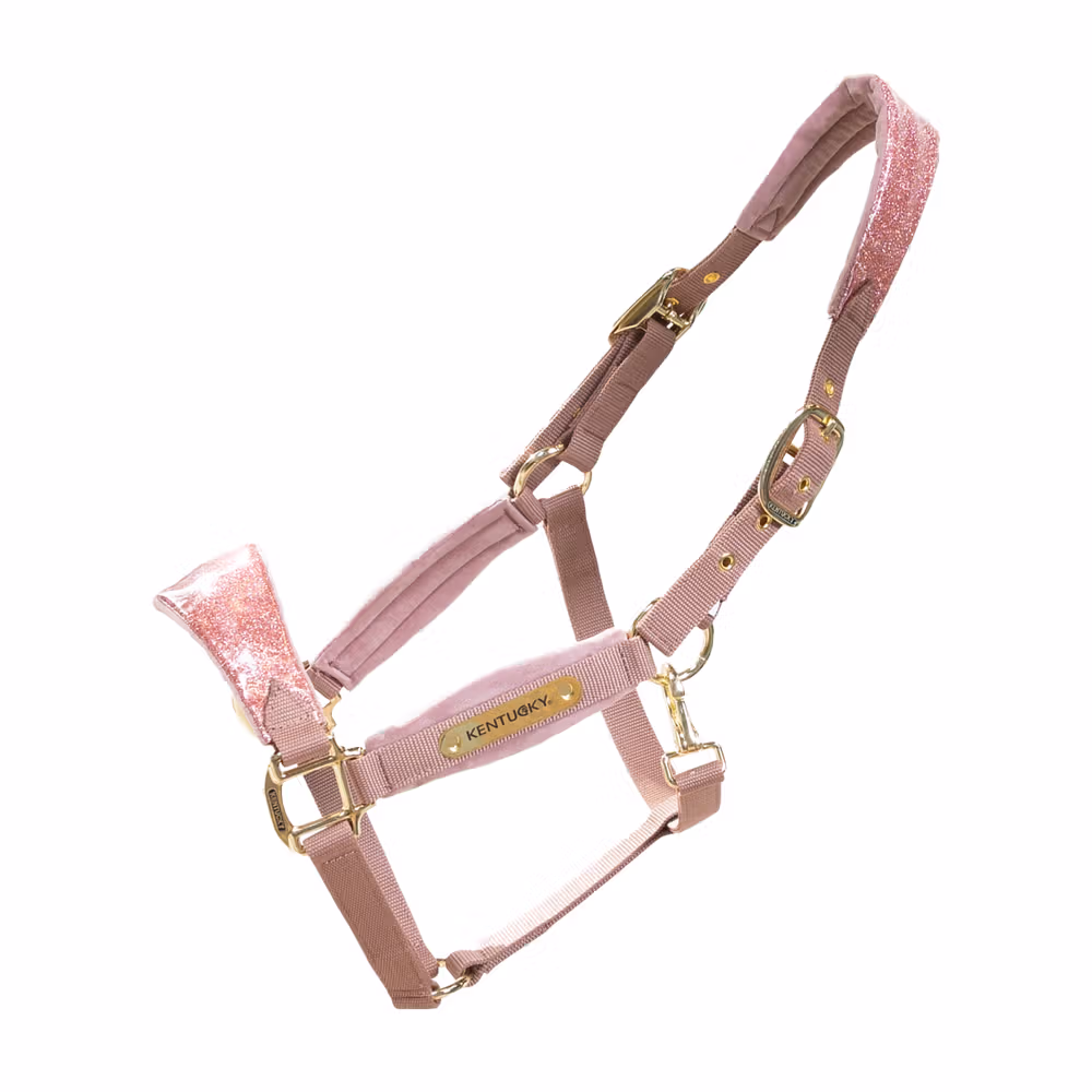 Horse/Halters & leads/Halters