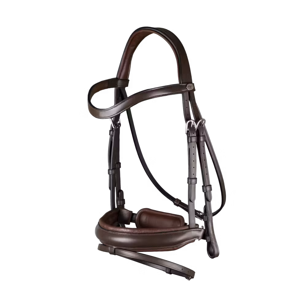 Matte Large Crank Noseband Bridle With Flash