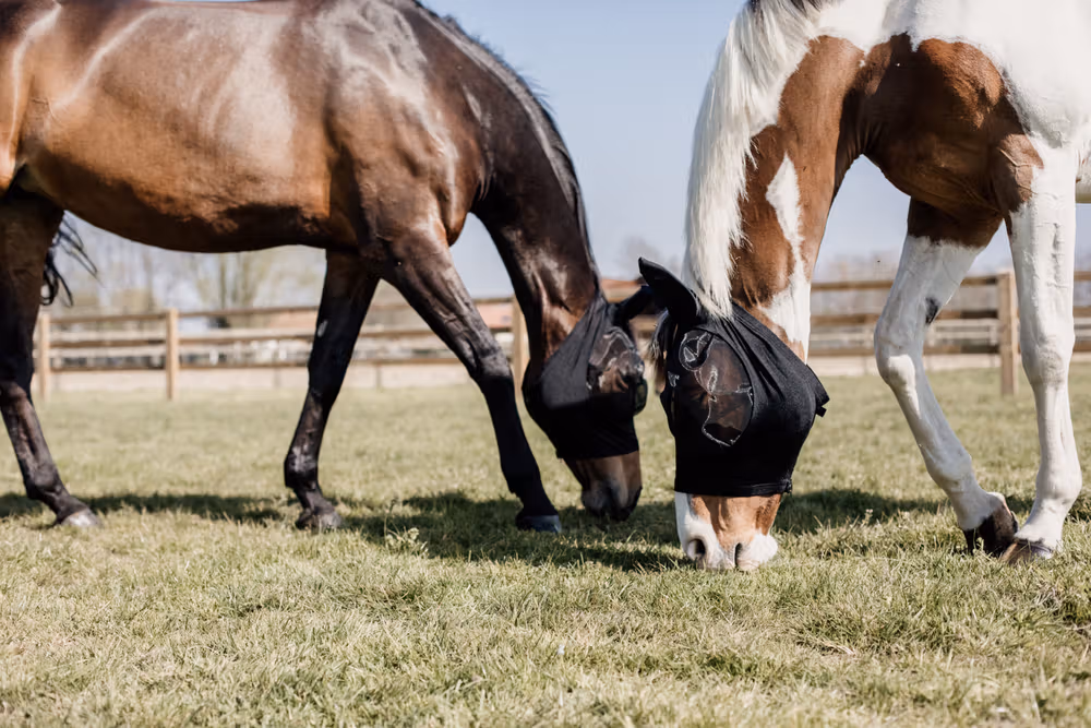 Fly mask slim fit black