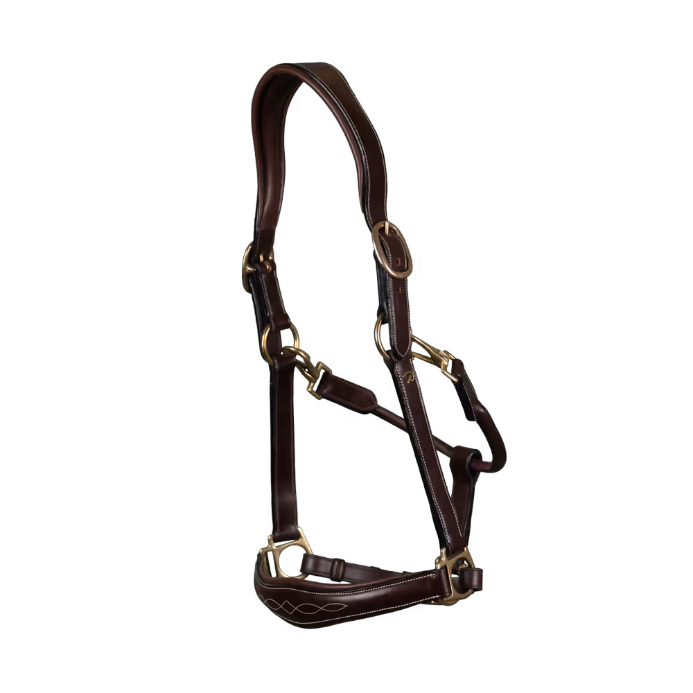 Leather Halter