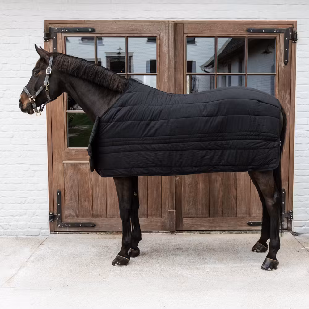 Horse BIB waterproof black