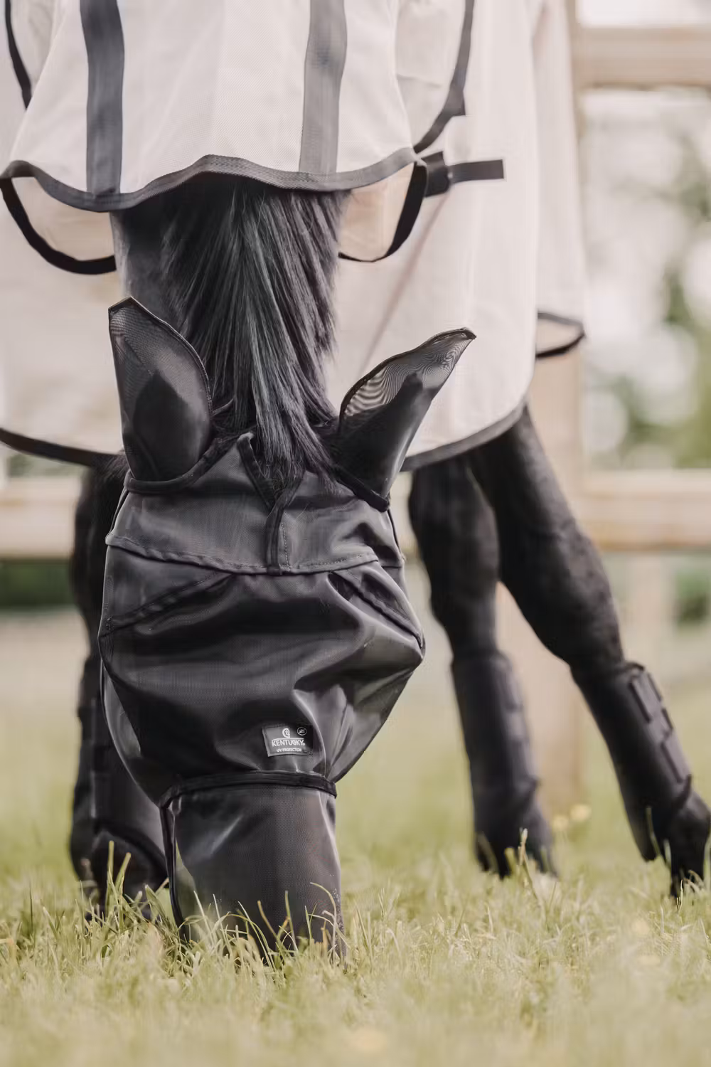 Fly mask classic with ears and nose black Full