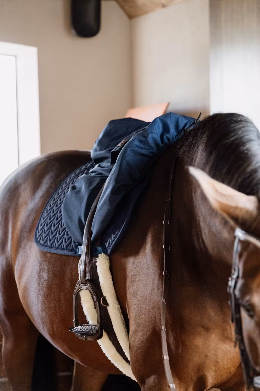 Saddle cover waterproof show jumping navy