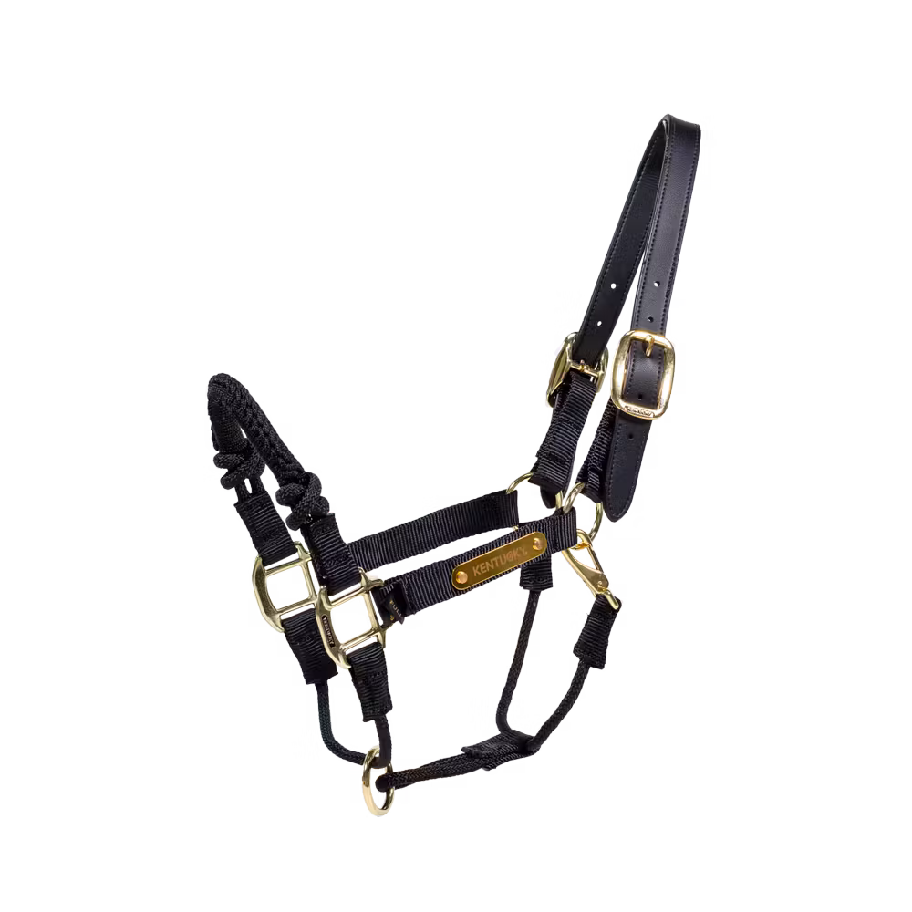 Control Halter Nylon black Cob