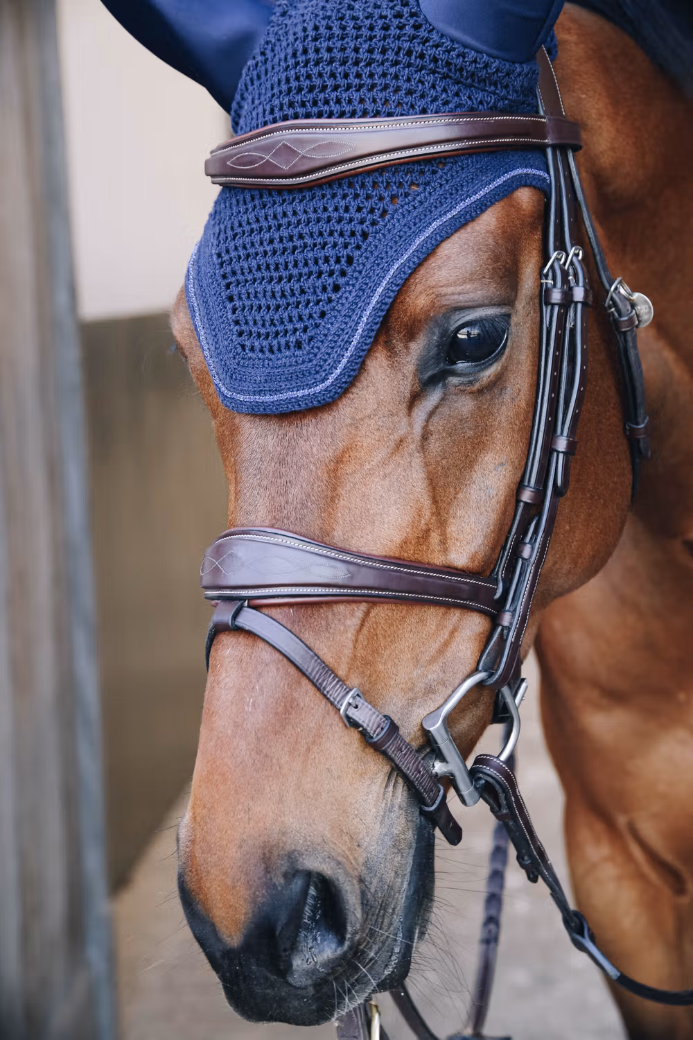 Fly veil Wellington sparkling dark navy