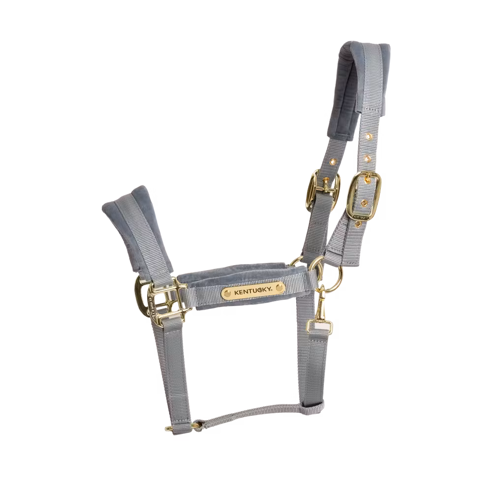 Velvet Halter old rose cob