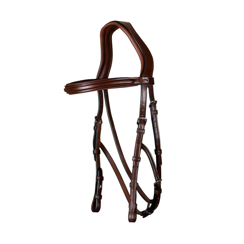 Hackamore Bridle