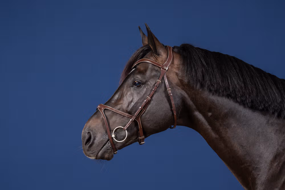 X-Fit Bridle