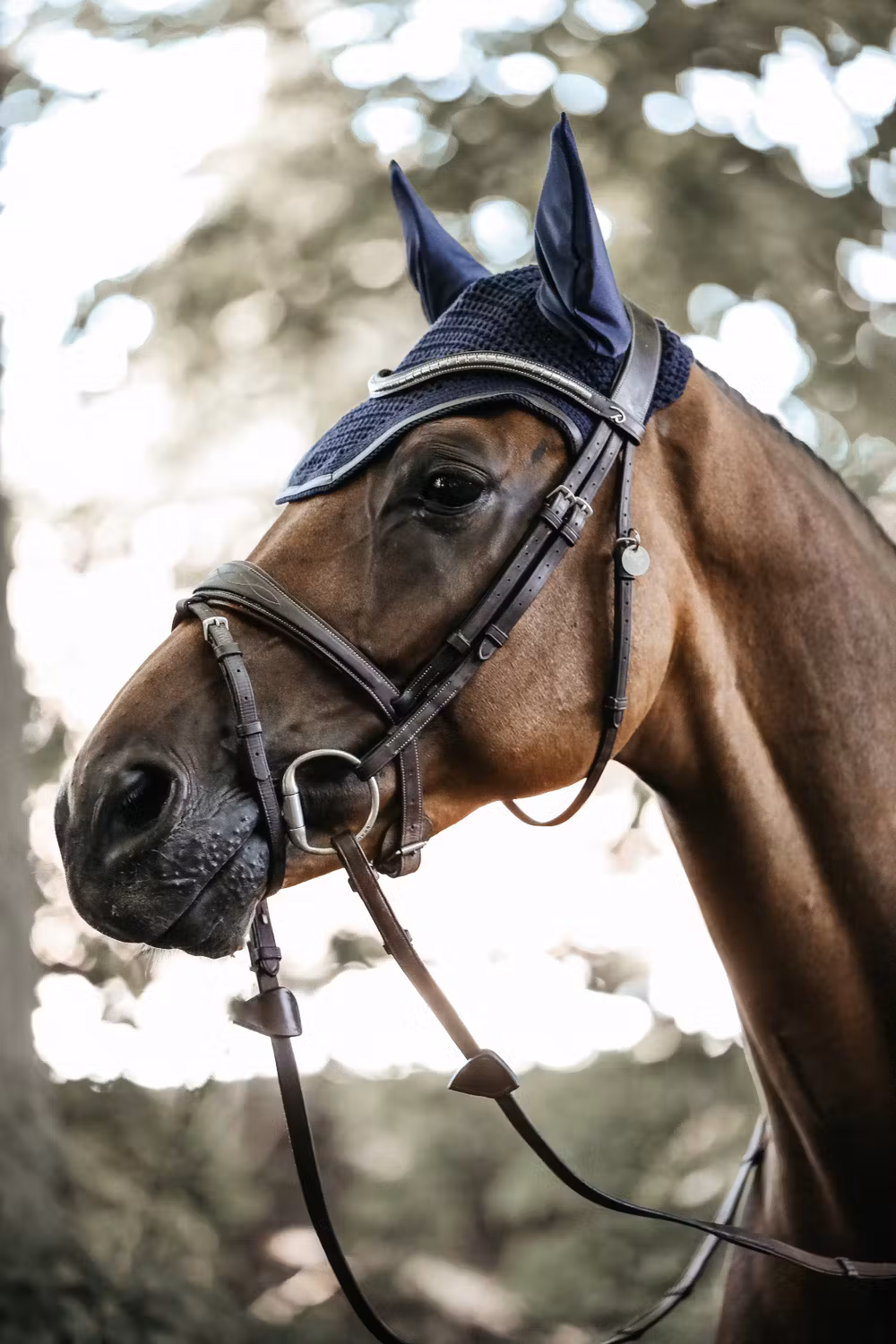 Fly veil Wellington leather dark navy pony