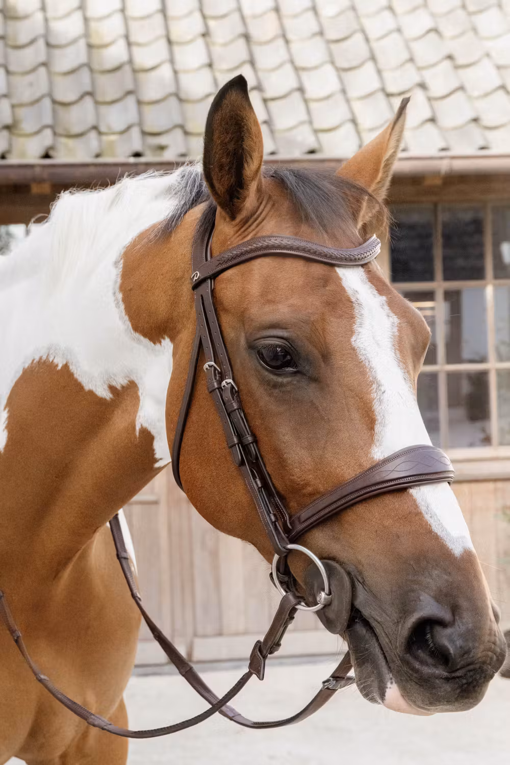 Anatomic Noseband Without Flash