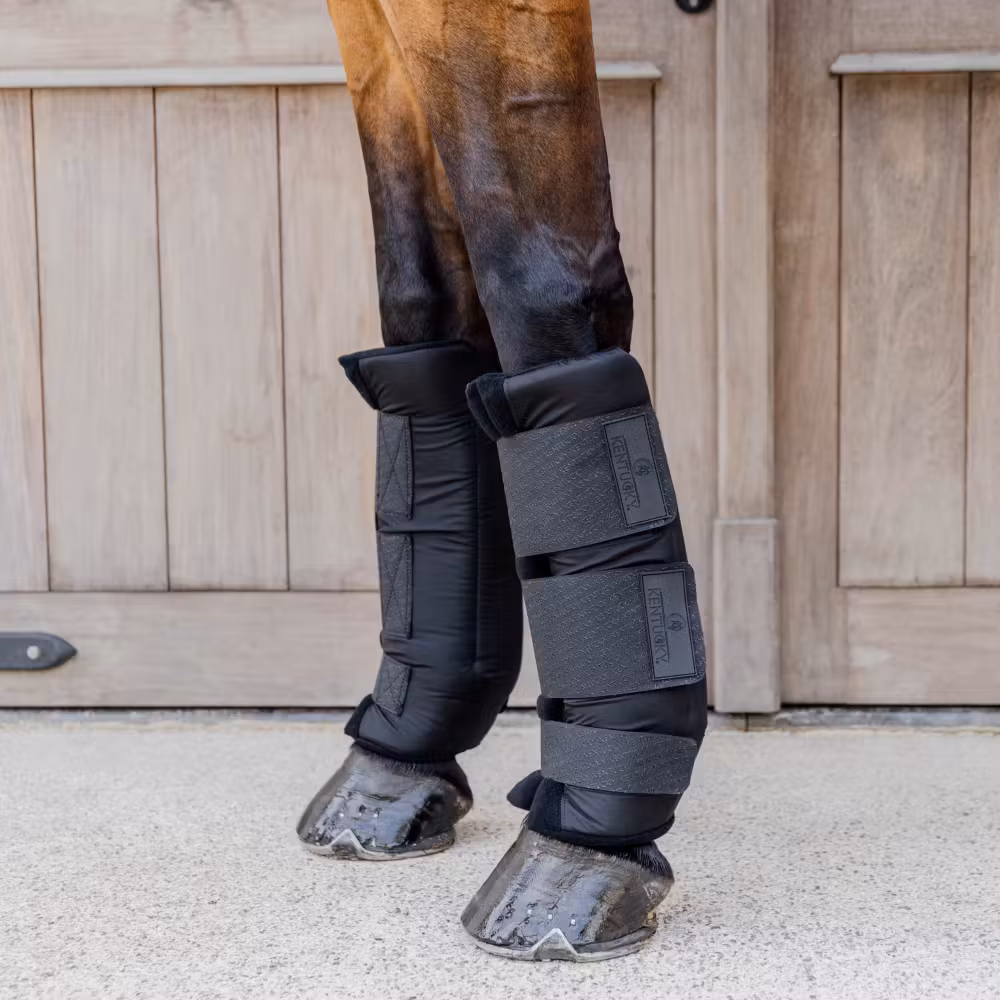 Stable boots PROtect classic front black size M