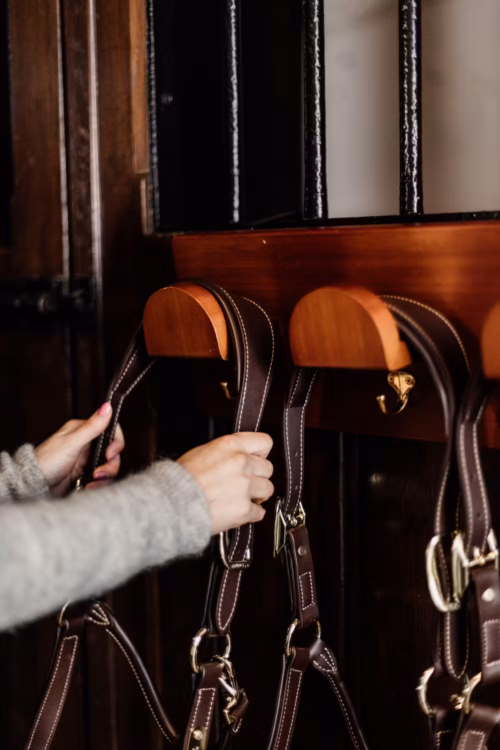 Bridle rack