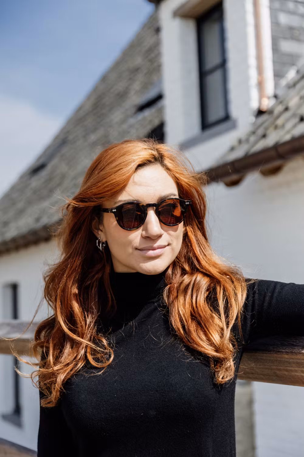 Sunglasses brown Alvin