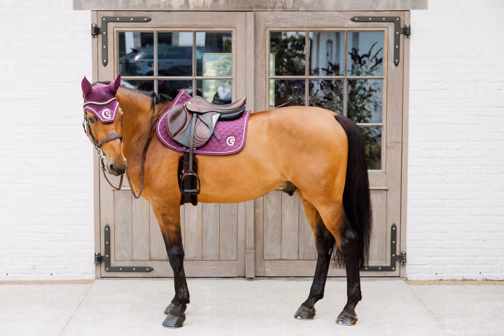 Fly veil Wellington 3D Logo rope purple Full
