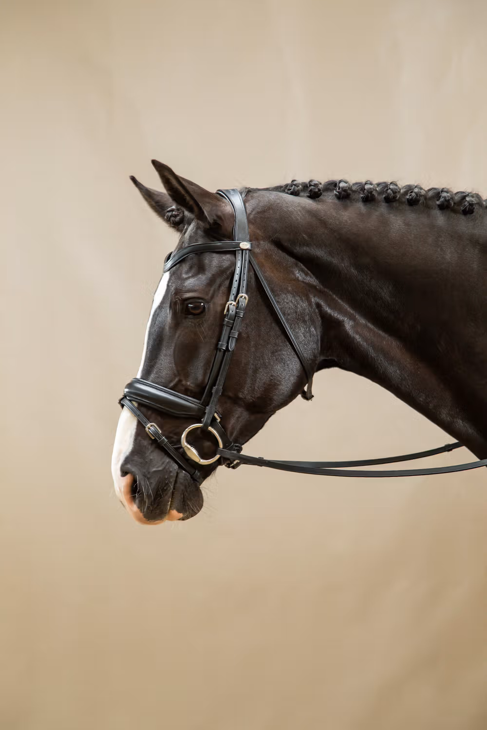 Matte Large Crank Noseband Bridle With Flash