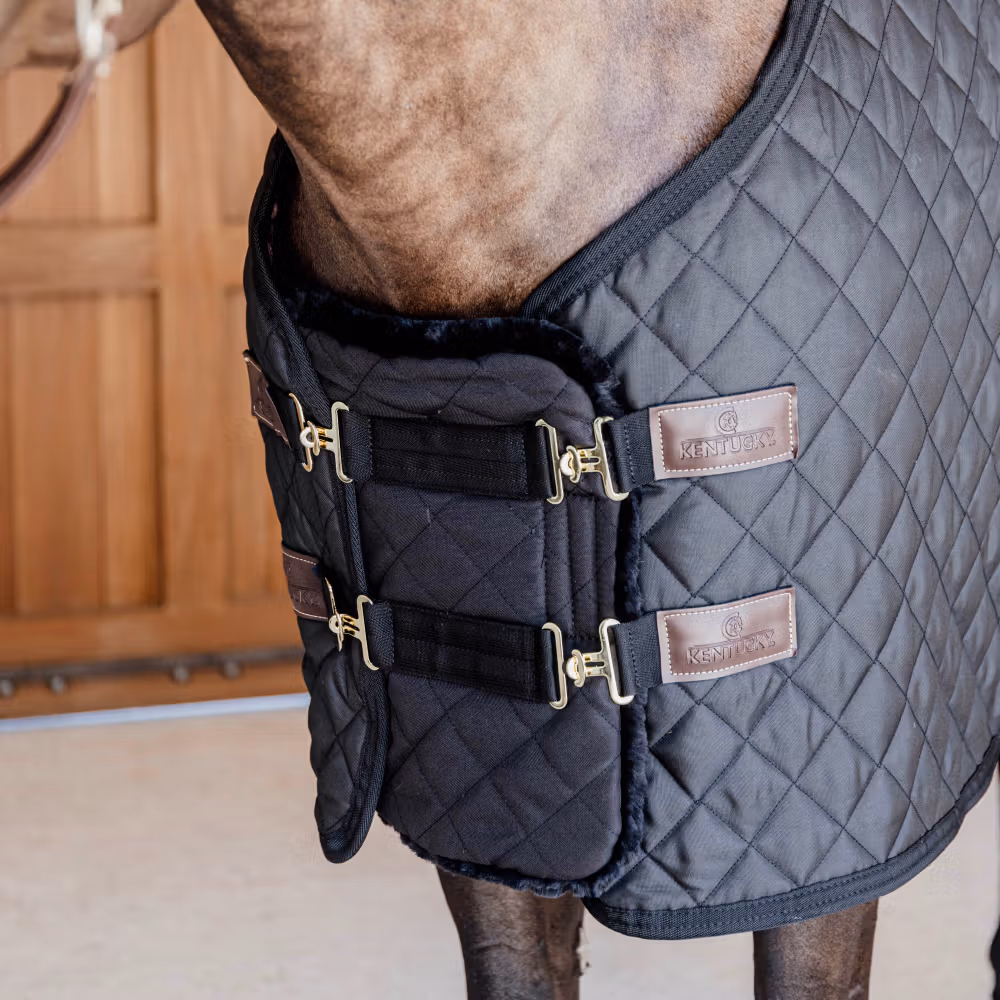 Chest expander quilted with sheepskin 2 buckles black