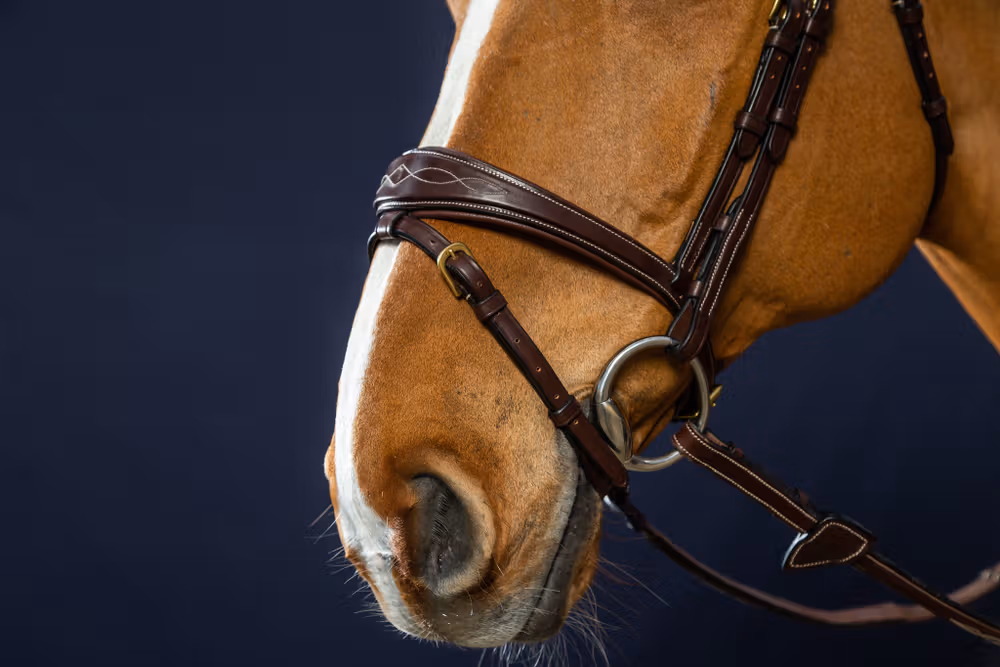 Anatomic Flash Noseband Bridle