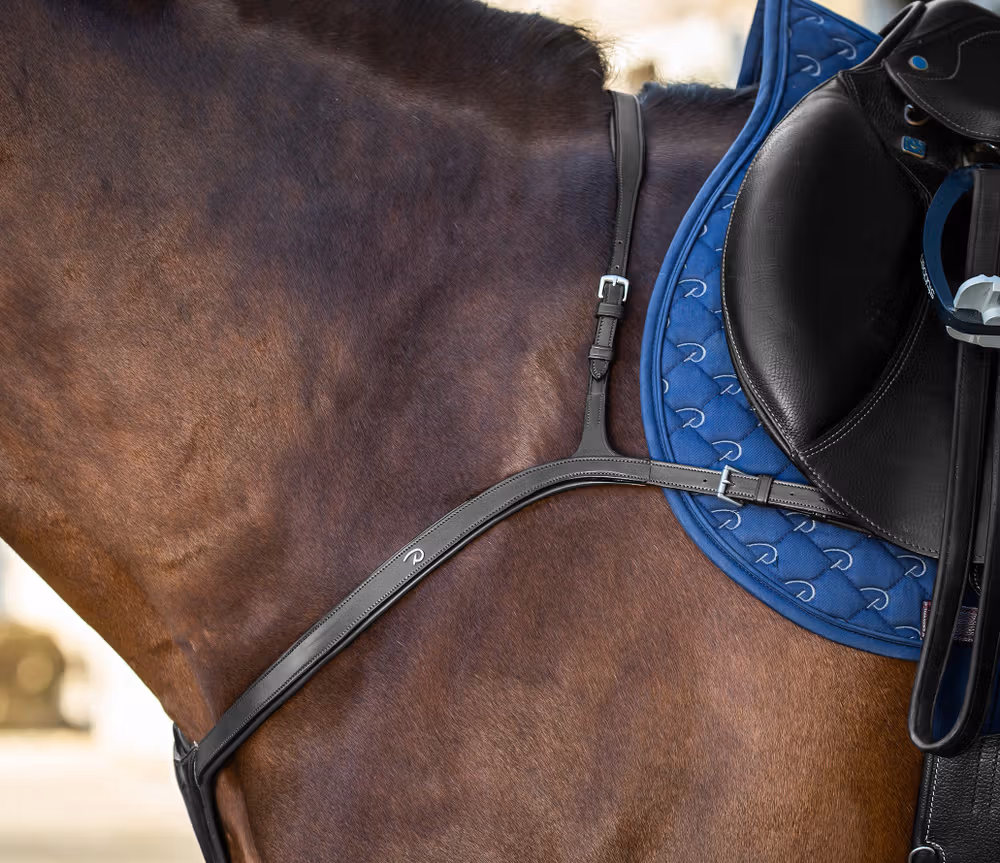 Long Bridge Breastplate