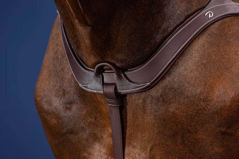 Anatomical Breastplate