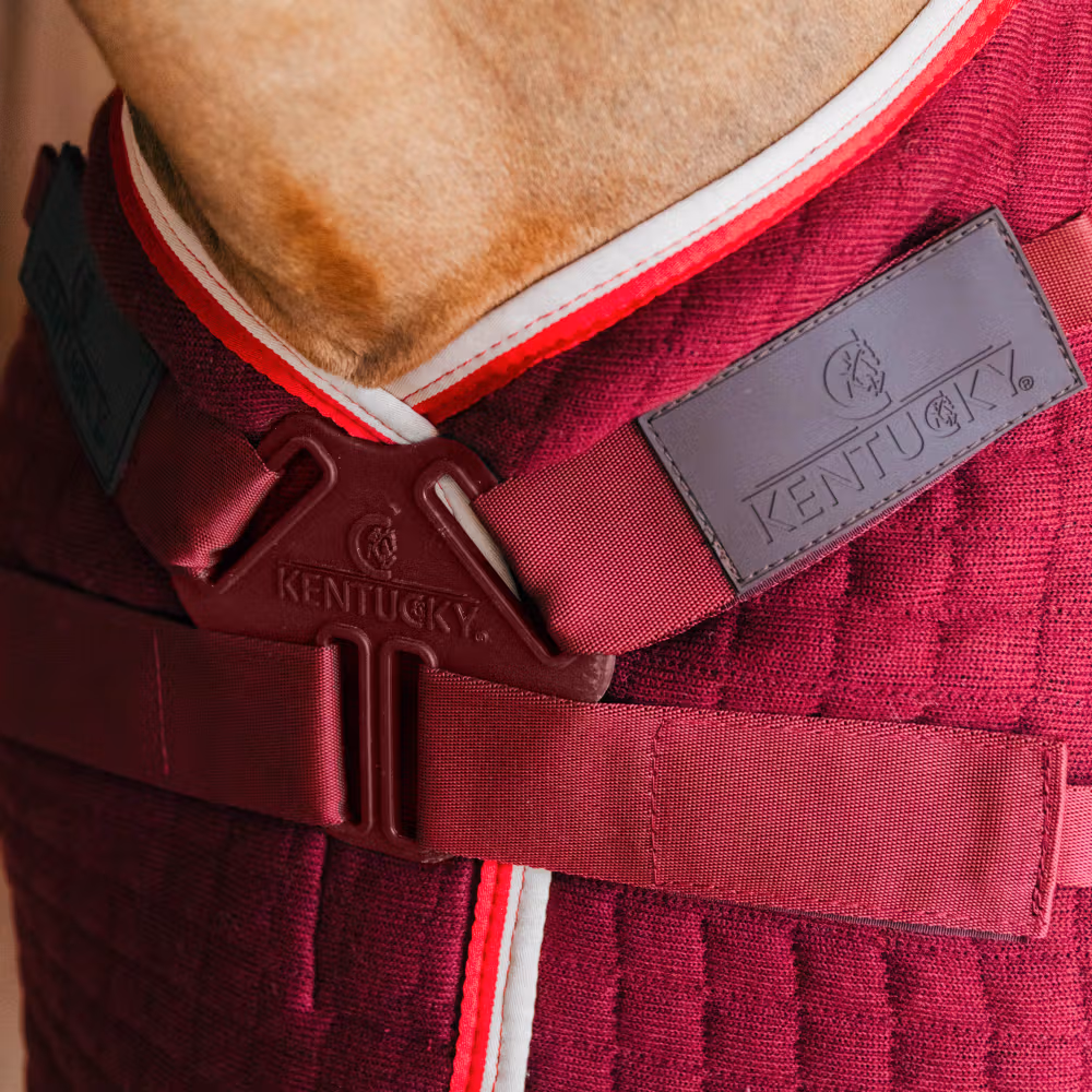 Cooler rug PROTherm bordeaux 145-6'6