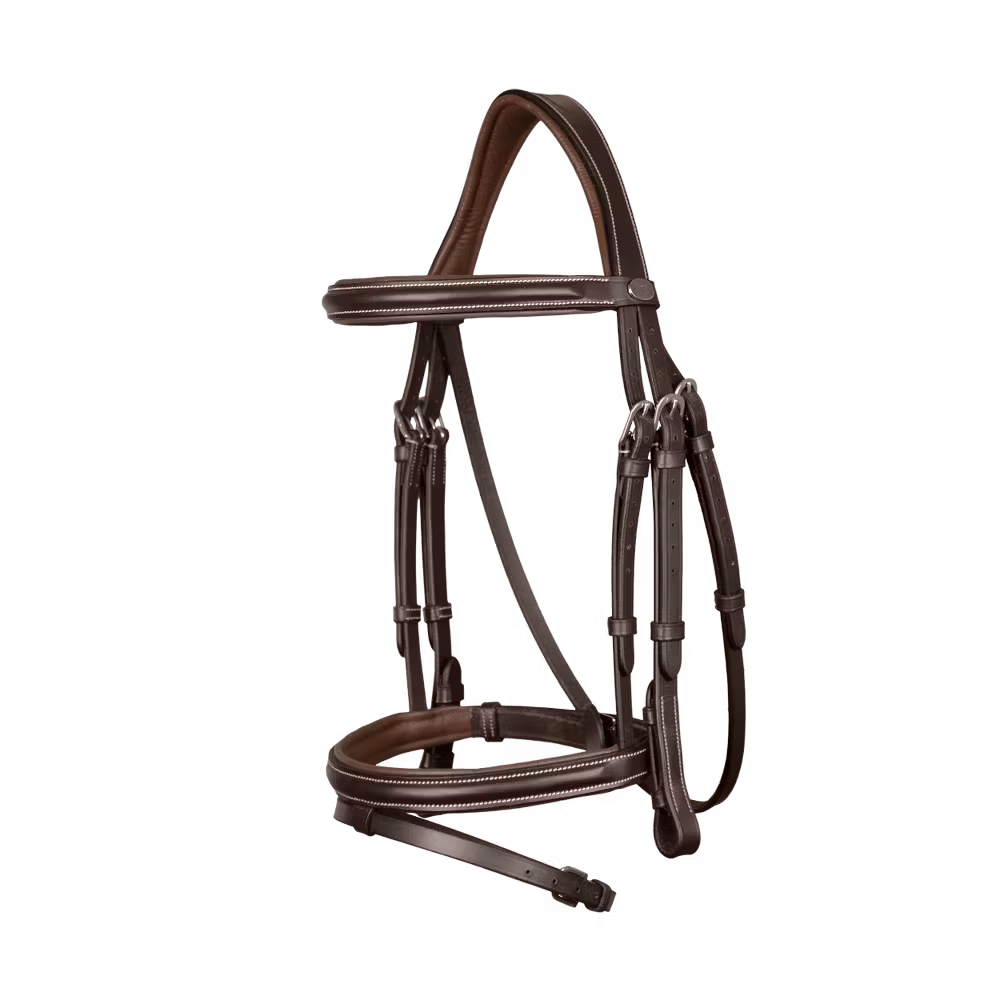 Flash Noseband Bridle
