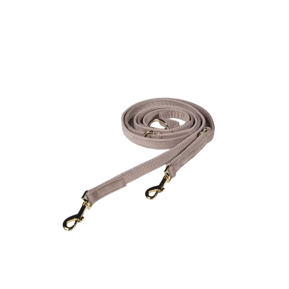 Dog lead velvet black size S 2m