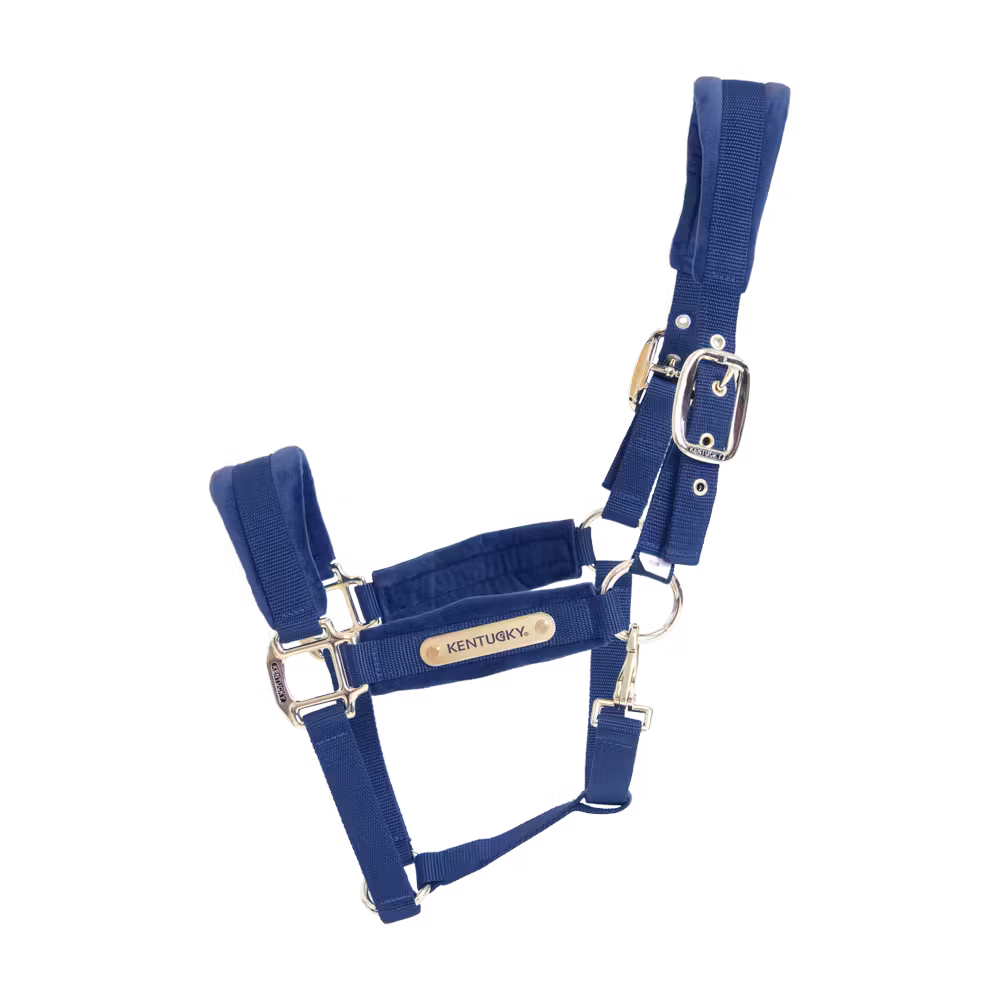 Velvet Halter old rose cob
