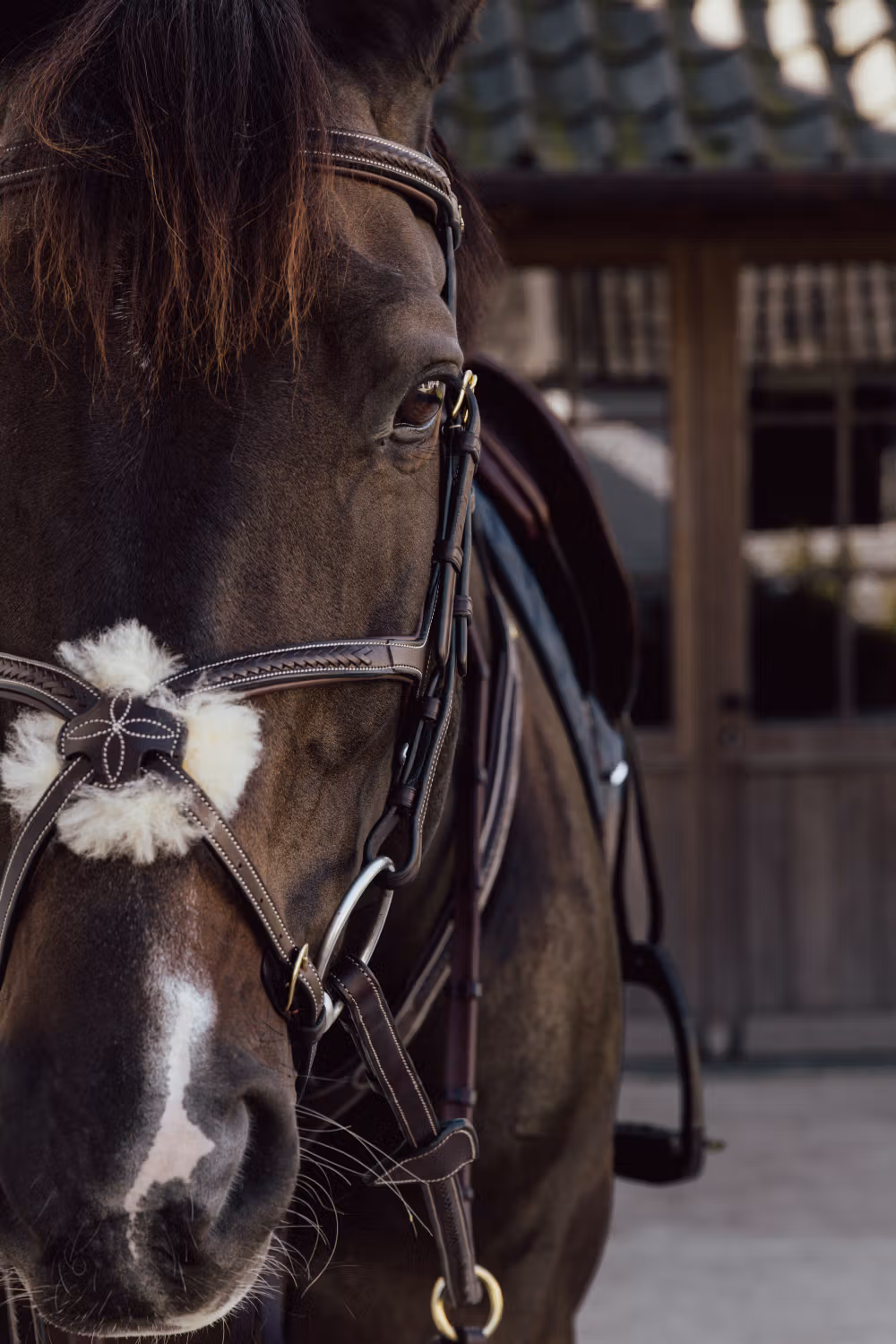 Plaited Figure 8 Bridle BROWN FULL
