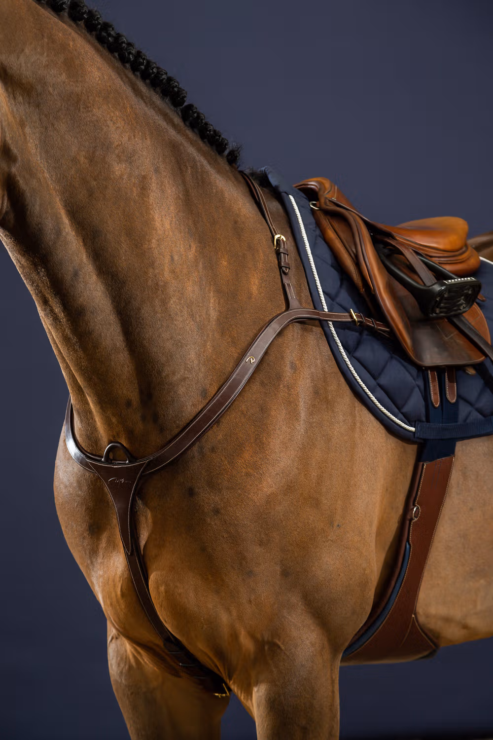 Long Bridge Breastplate