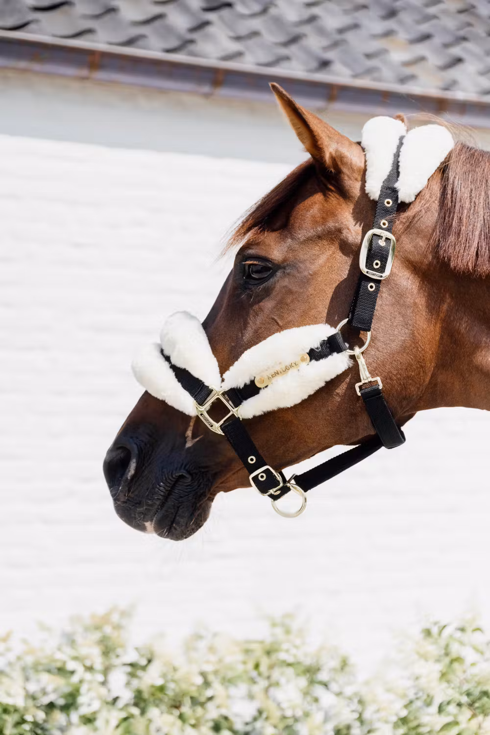 Nylon sheepskin Halter soft natural shetland pony