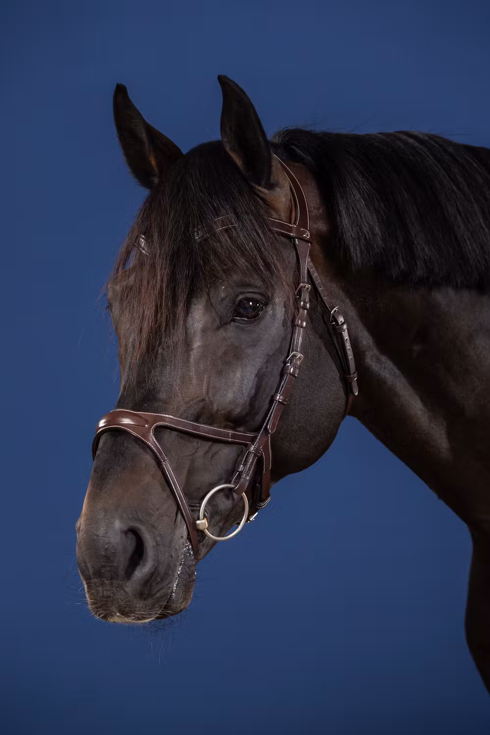 X-Fit Bridle