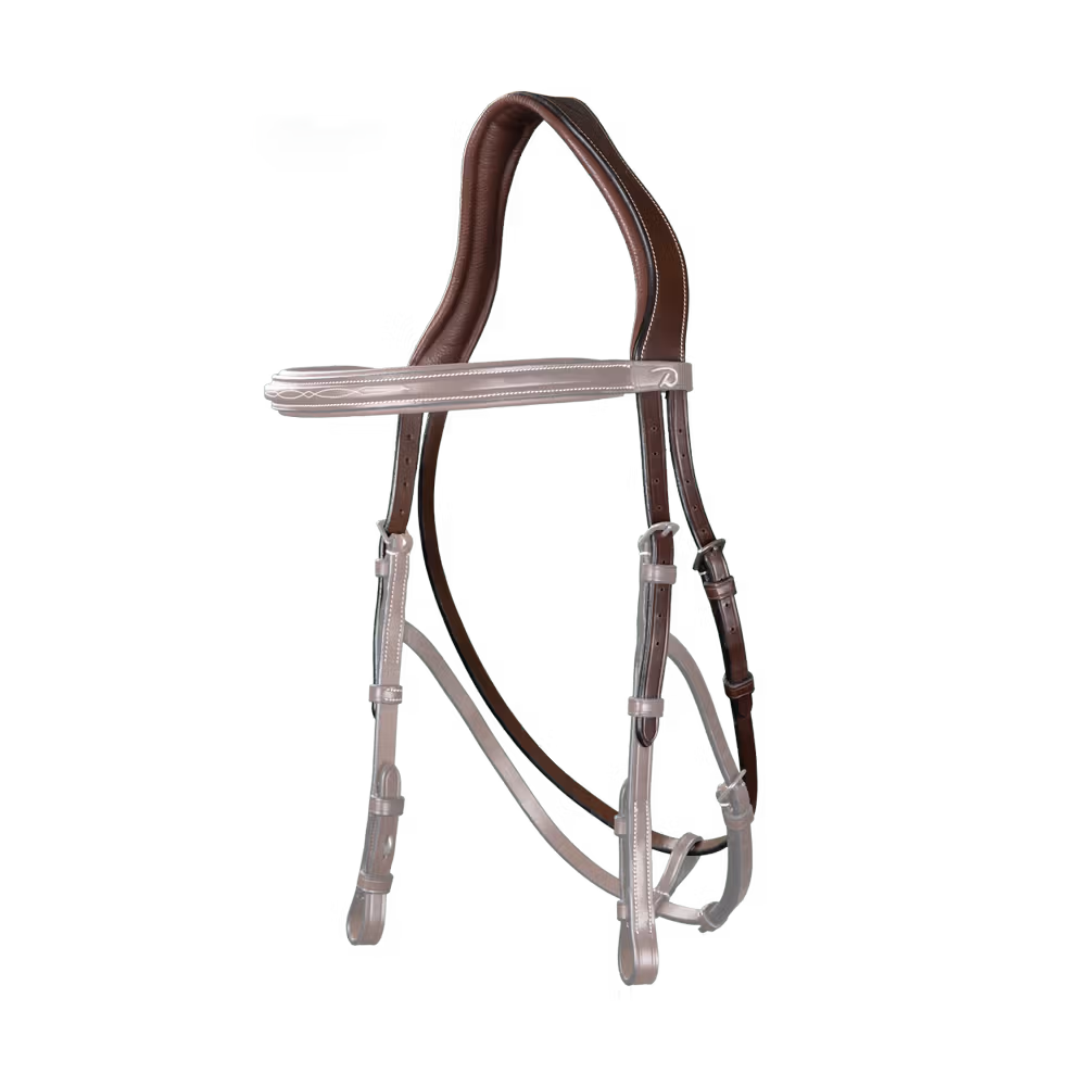 Hackamore Headpiece