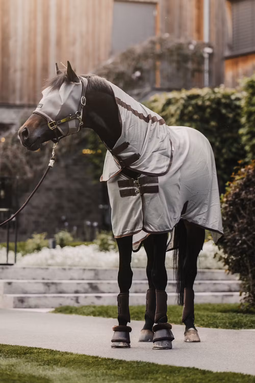 Fly mask classic without ears beige cob