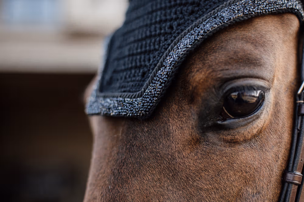 Fly veil Wellington glitter stone black