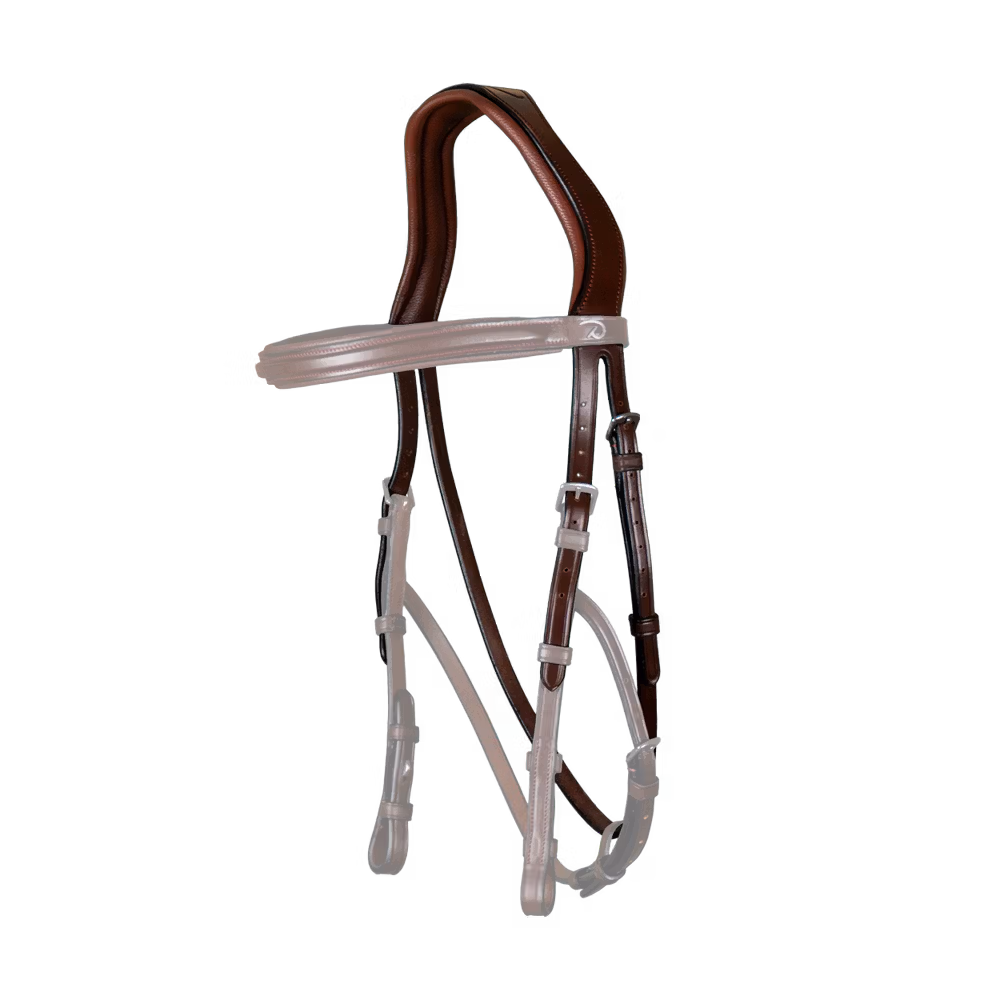 Hackamore Headpiece