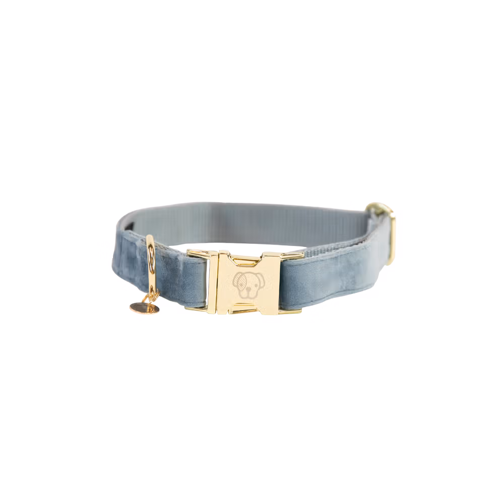 Dog Collar velvet old rose M'36-52cm