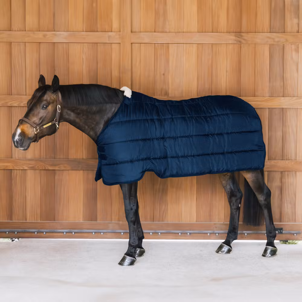 Turnout rug Comfort Liner navy 145-6'6 100 gram