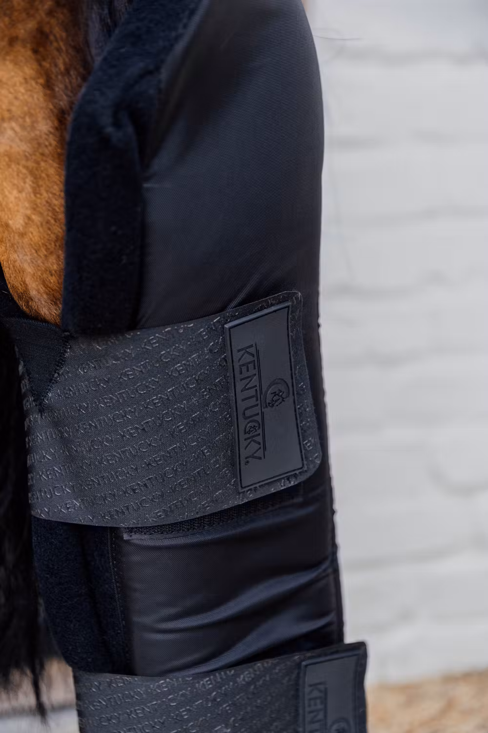 Stable boots PROtect long hind with hook protector black size S