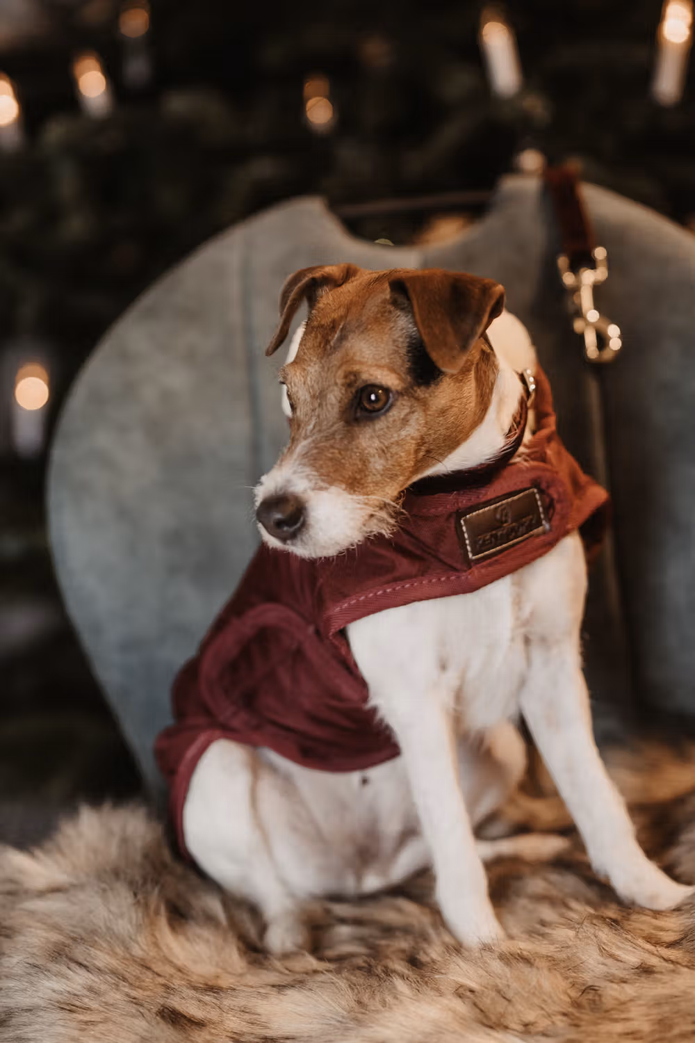 Dog coat original bordeaux large 56
