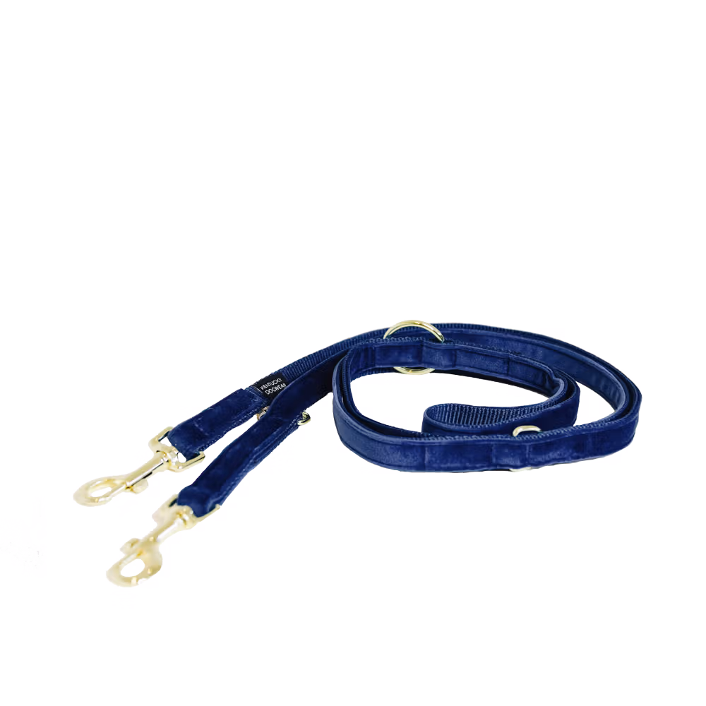 Dog lead velvet black size S 2m
