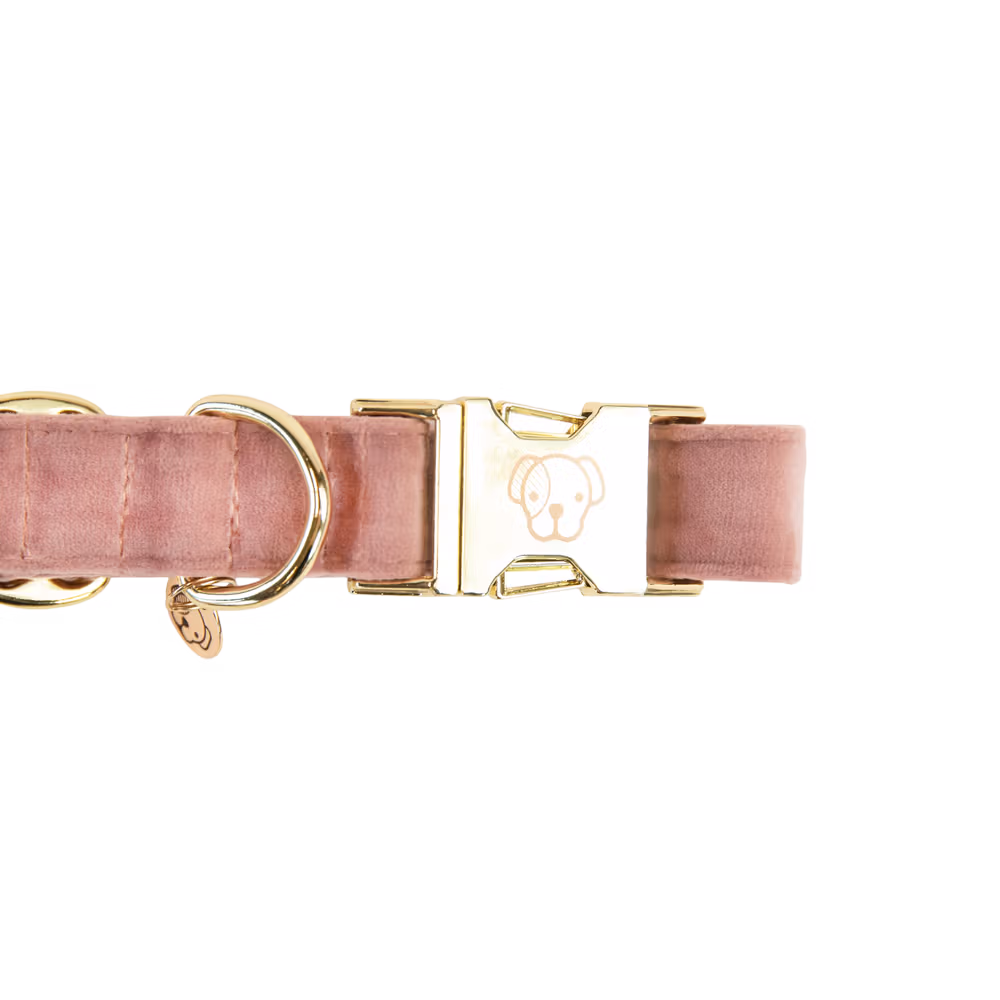 Dog Collar velvet old rose M'36-52cm