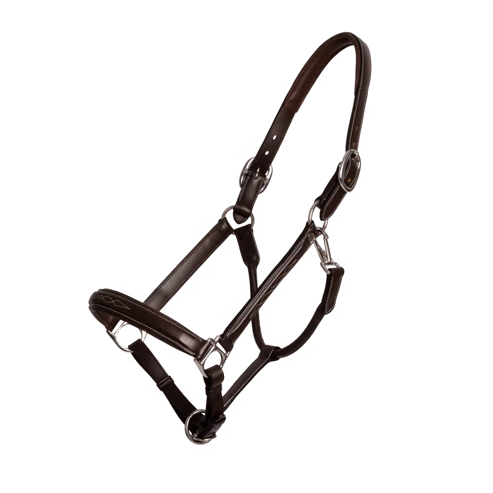 Head Collar Fancy