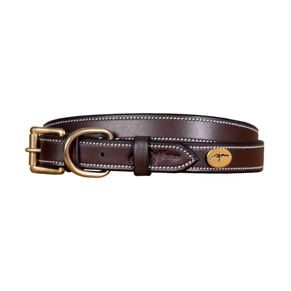 Flat Leather Dog Collar