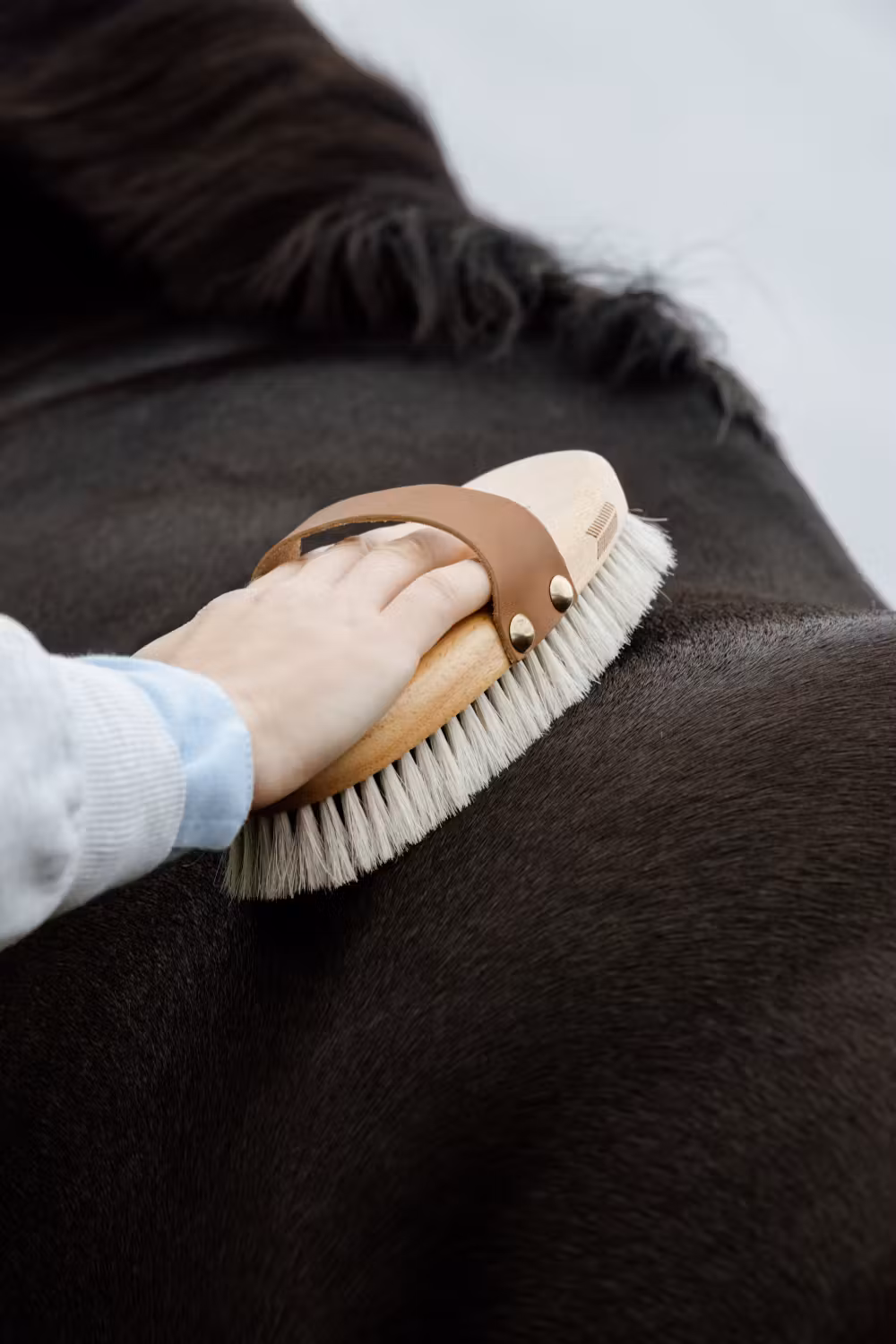 Overall Brush body shine